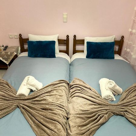 Karpouzis Guesthouse 维科斯 外观 照片