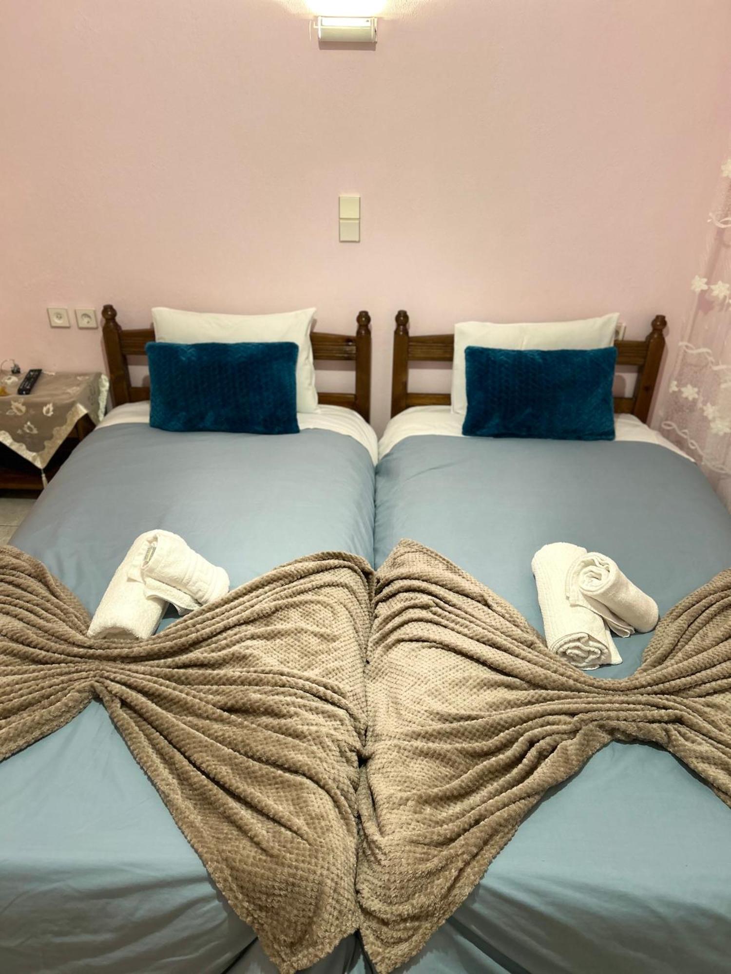 Karpouzis Guesthouse 维科斯 外观 照片